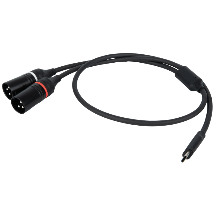DAP FL112 - USB-C to 2 XLR/M 3P