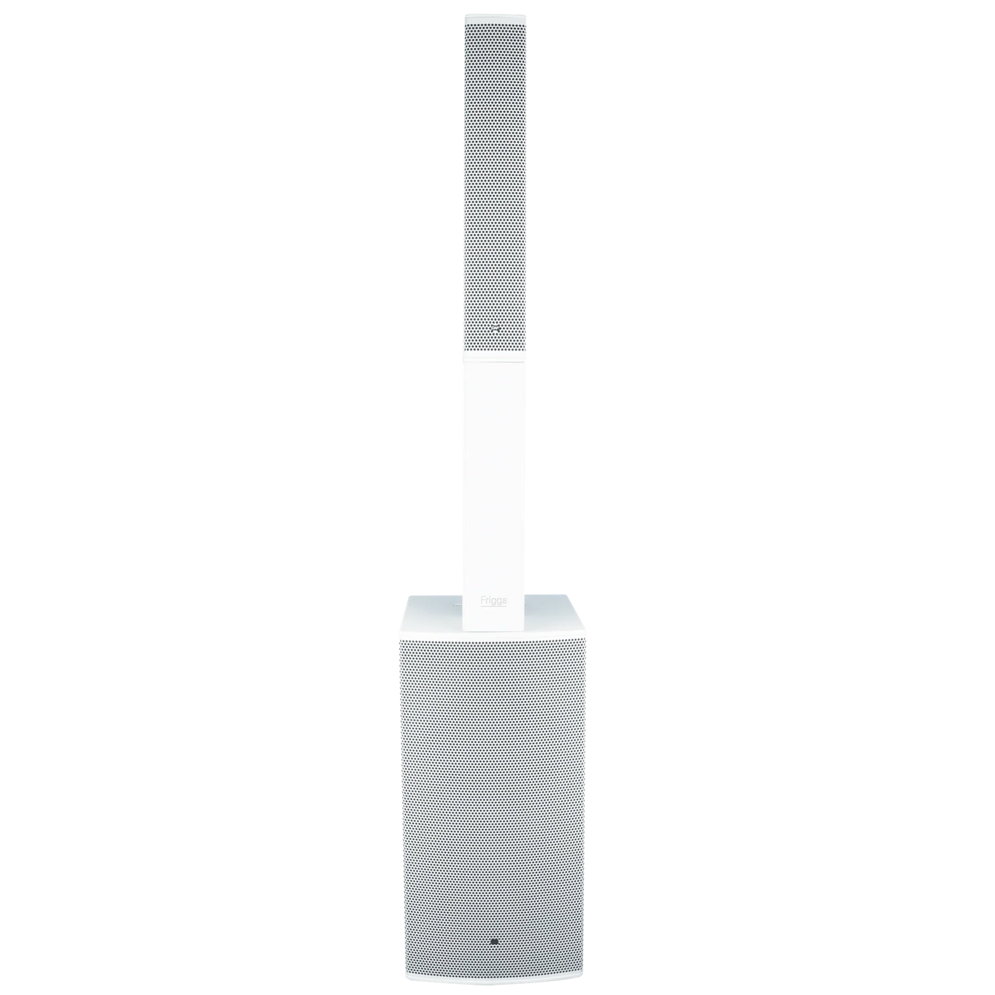 2x DAP Frigga Active Column PA System