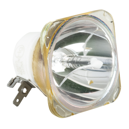 Ushio NSL300 12R Lamp