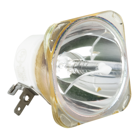 Ushio NSL300 12R Lamp