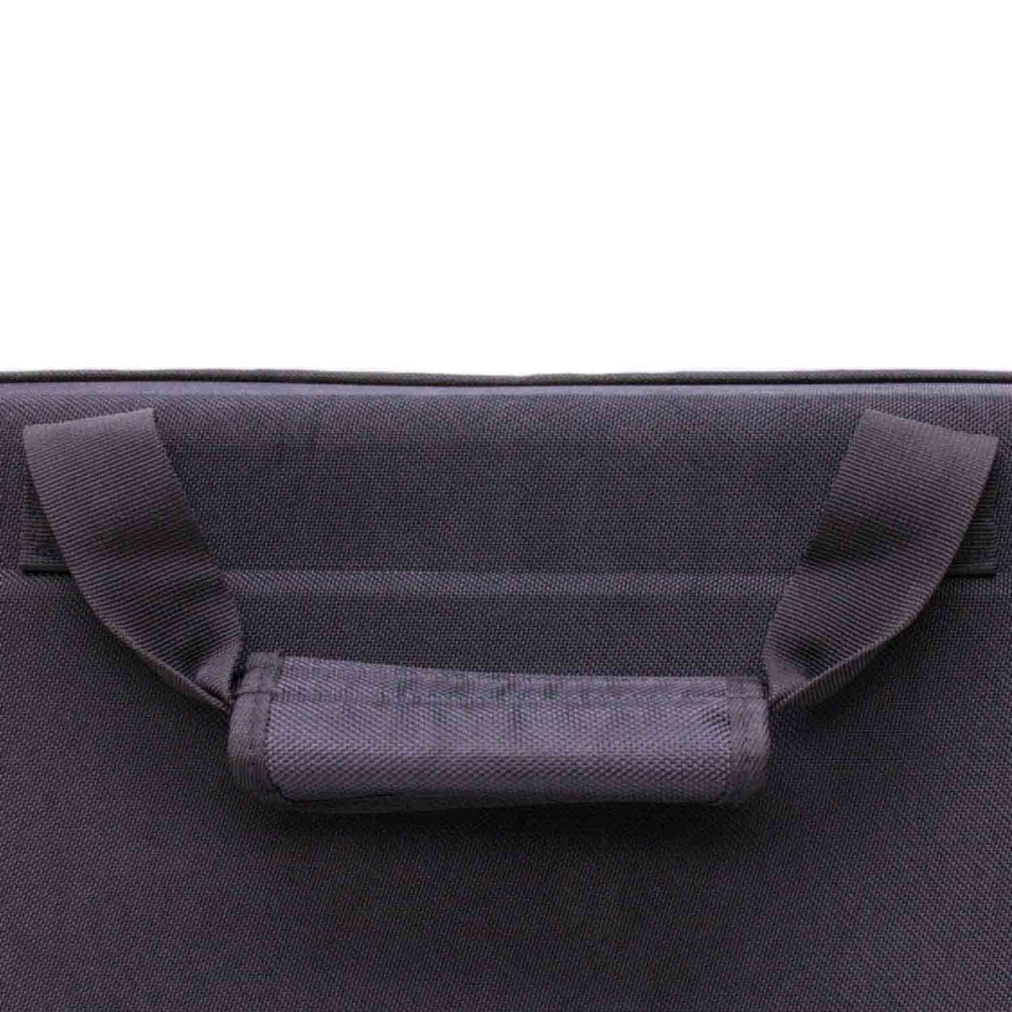 Bag for Rane Four