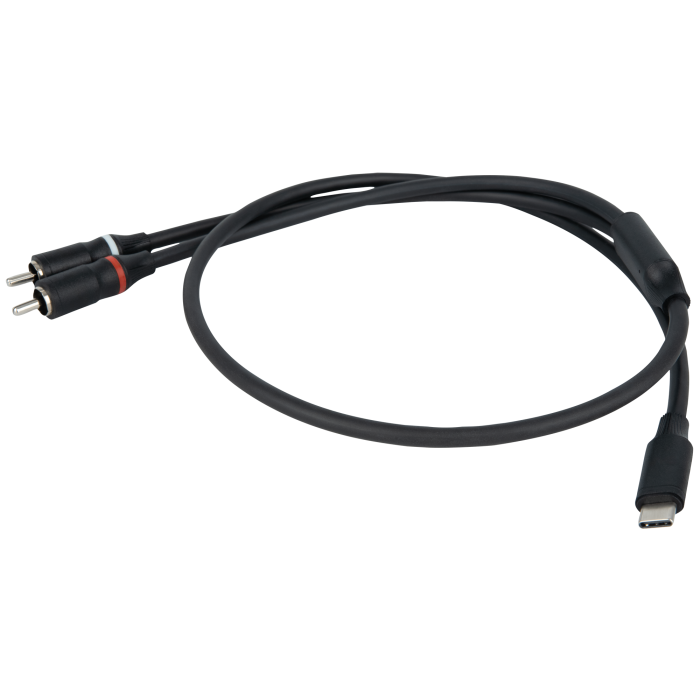 DAP FL110 - USB-C to 2 RCA male