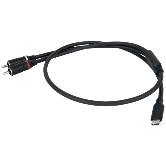 DAP FL110 - USB-C to 2 RCA male