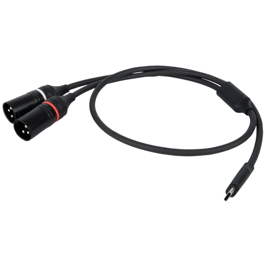 DAP FL112 - USB-C to 2 XLR/M 3P