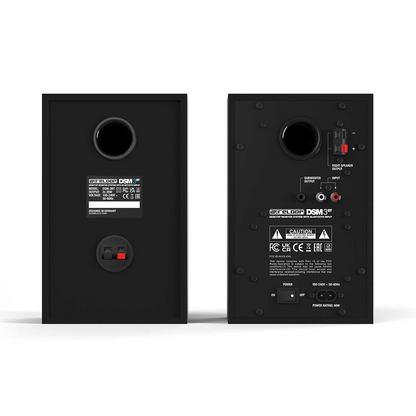 DSM-3 BT